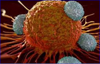 FDA clears Axcynsis’ AT03-65 IND