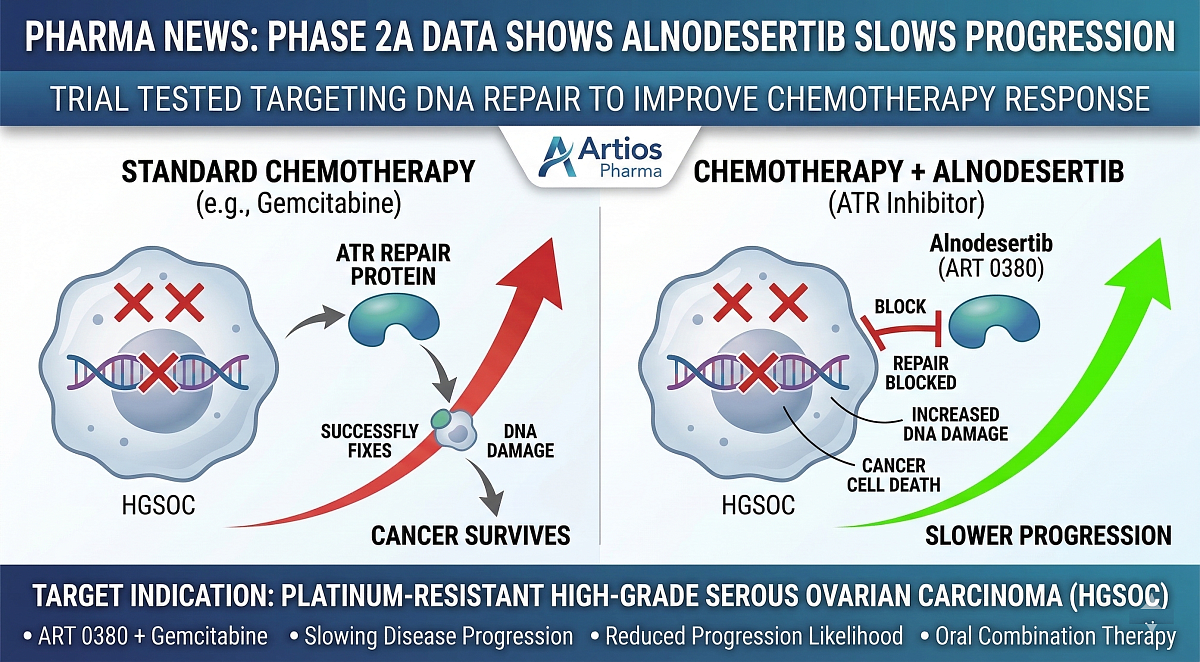 Phase 2a Trial Data Shows Alnodesertib Slows Ovarian Cancer Progression