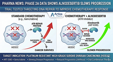 Phase 2a Trial Data Shows Alnodesertib Slows Ovarian Cancer Progression