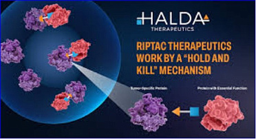FDA Grants Fast Track Designation to HLD-0915 in Prostate Cancer