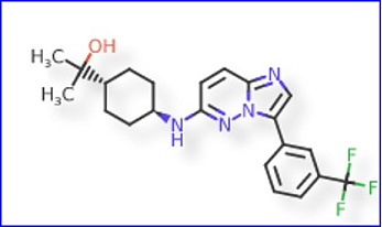 FDA Grants Fast Track Designation to Nuvisertib in Myelofibrosis