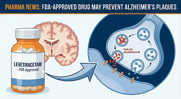 FDA-Approved Seizure Drug Levetiracetam May Prevent Alzheimer's Plaques