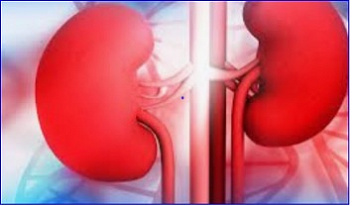 High blood pressure alone can damage kidneys, study finds