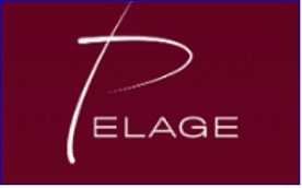 Pelage Pharmaceuticals’ alopecia