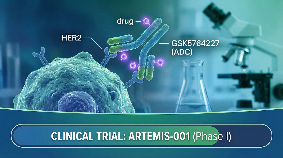 GSK5764227 (HS-20093): New HER2-Targeted ADC Treatment for Cancer