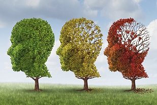 Novel Drug From Neuro-Bio Effective in a Mouse Model of Alzheimer’s Disease