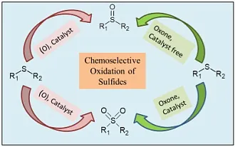 DMSO