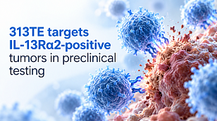 313TE targets IL-13Rα2-positive tumors in preclinical testing