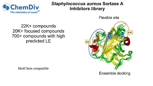 Small Molecule Inhibitors Small Molecule Inhibitors