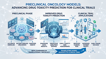 Preclinical Oncology Models Improve Drug Toxicity Prediction in Trials
