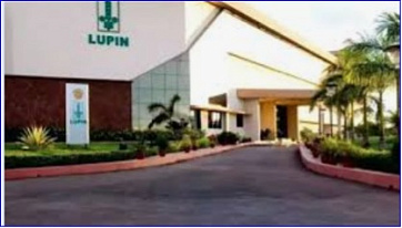 Lupin's