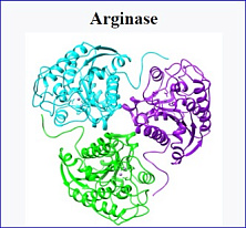 IO Biotech Announces Publication