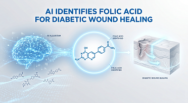 AI-Guided Drug Search Identifies Folic Acid for Diabetic Wound Healing