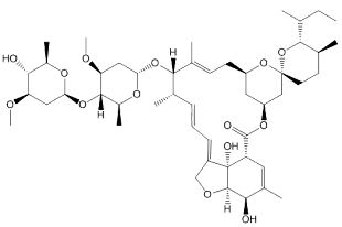 Brazil Study Finds Ivermectin Did Not Reduce Hospital Admissions