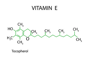Vitamin E can boost immunotherapy responses by reinvigorating dendritic cells