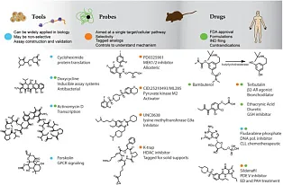 Composants chimiques