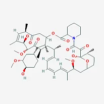 Rapamycin increases Alzheimer’s-associated plaques in mice, study finds