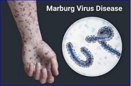 FDA confirms Animal Rule