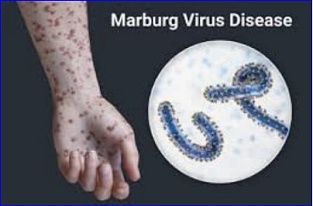 FDA confirms Animal Rule