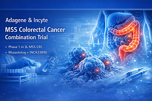 Adagene and Incyte launch MSS colorectal cancer combination trial