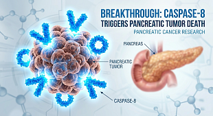 Pancreatic Cancer Research Breakthrough: Caspase-8 Triggers Tumor Death