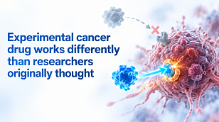 Experimental cancer drug works differently than researchers originally thought