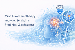 Mayo Clinic nanotherapy improves survival in preclinical glioblastoma