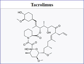 Lipella Pharmaceuticals Granted FDA