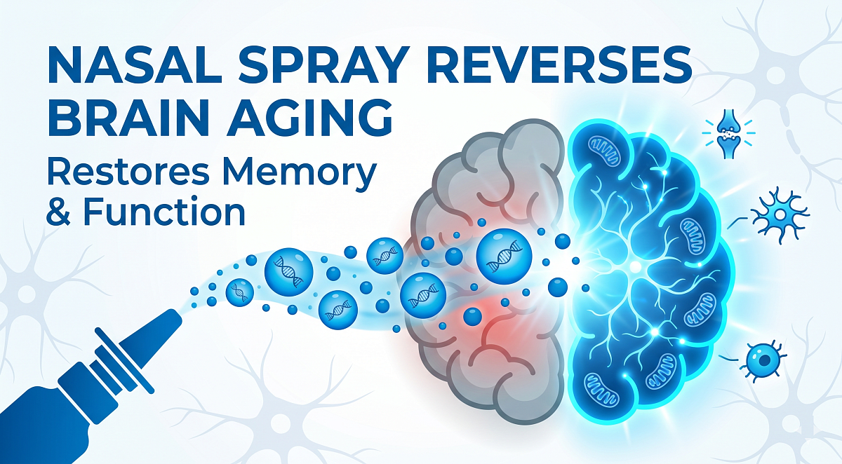 Nasal Spray Reverses Age-Related Brain Inflammation in Preclinical Study