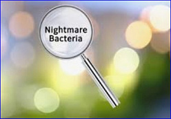 Nightmare bacteria