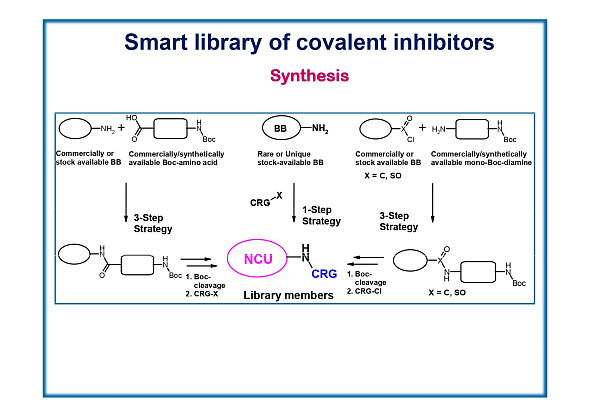 Covalent Fragments Smart Library