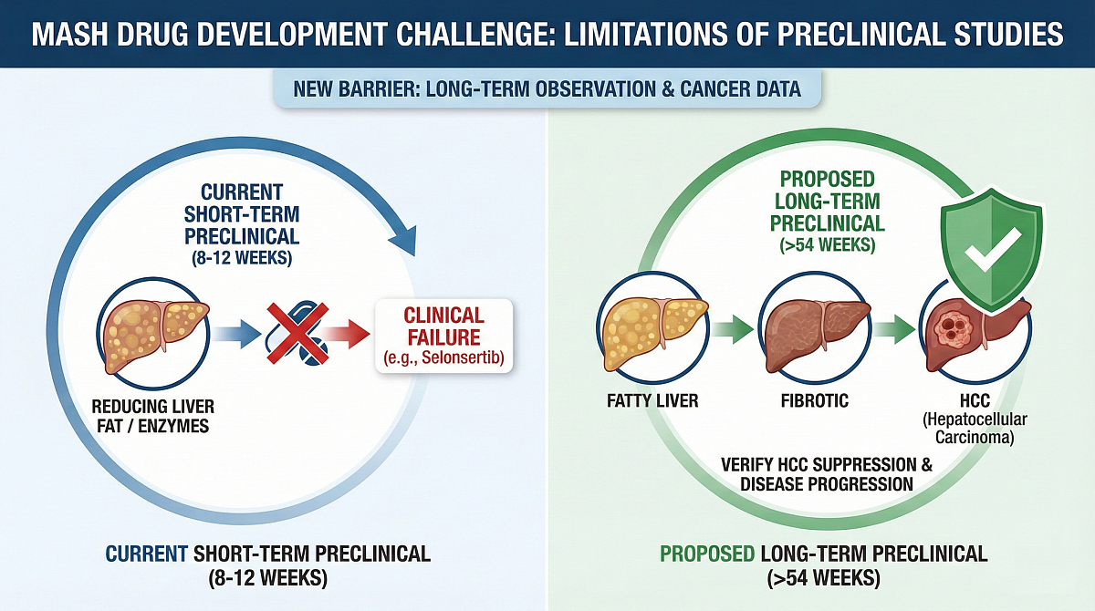 Limitations of MASH Preclinical Studies Challenge Drug Development