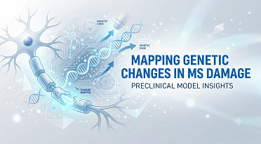 Preclinical Models Map Genetic Changes Behind Multiple Sclerosis Damage