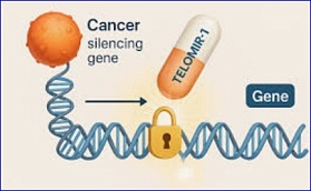 Telomir Pharmaceuticals reports new preclinical data on pancreatic cancer