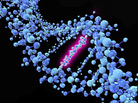 Quantum mechanics could explain why DNA can spontaneously mutate