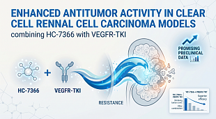 HiberCell Presents Promising HC-7366 Preclinical Data in ccRCC Models