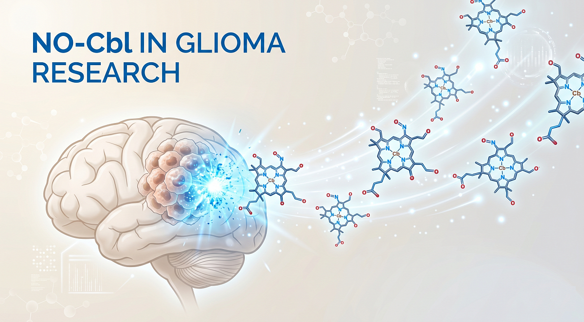Vitamin B12-Like Drug NO-Cbl Shows Promise in Preclinical Glioma Studies