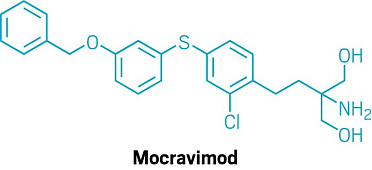 FDA grants orphan drug designation to mocravimod for acute myeloid leukemia