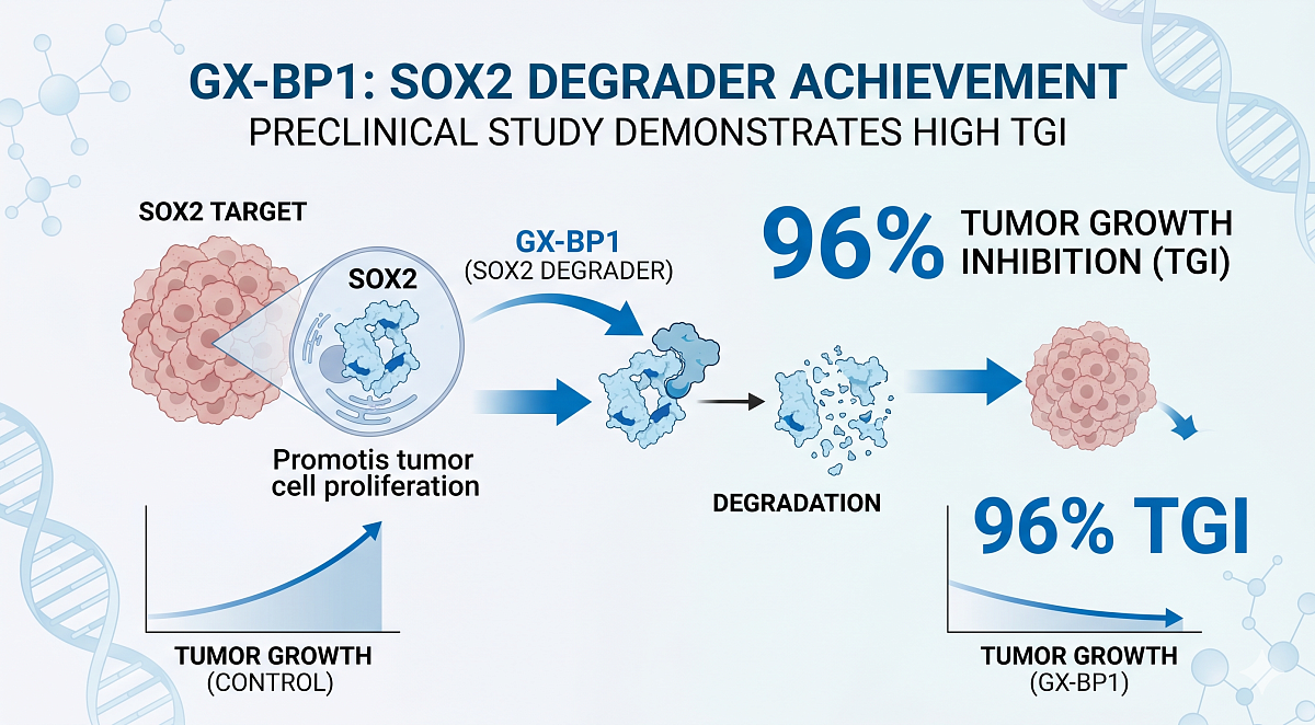 Genexine's SOX2 Degrader GX-BP1 Demonstrates Up to 96% TGI in Study
