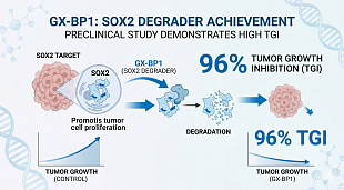 Genexine's SOX2 Degrader GX-BP1 Demonstrates Up to 96% TGI in Study