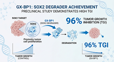 Genexine's SOX2 Degrader GX-BP1 Demonstrates Up to 96% TGI in Study