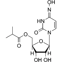 WHO OKs molnupiravir as treatment for Covid-19, after new data from India