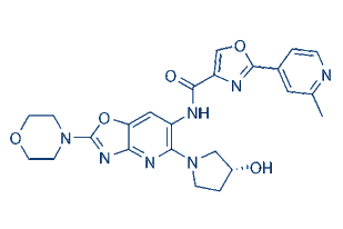FDA Puts Emavusertib Clinical Trial for R/R AML and MDS on Partial Hold