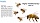  Insect Behavior Chemical Library