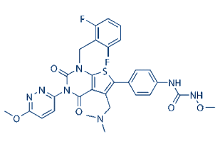 NICE Recommends Gedeon Richter’s Ryeqo for Uterine Fibroids