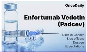 FDA Approves Perioperative Enfortumab Vedotin Plus Pembrolizumab for Cisplatin-Ineligible MIBC