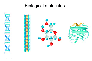 COUR Pharmaceuticals Receives FDA Fast Track Designation for CNP-104 for the Treatment of Primary Biliary Cholangitis