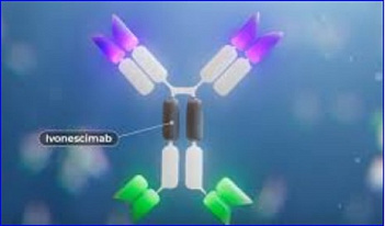 Ivonescimab Displays Preclinical Feasibility in Frontline ccRCC