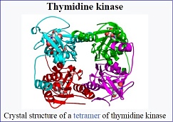 FDA Approves First Treatment for Rare Thymidine Kinase 2 Deficiency
