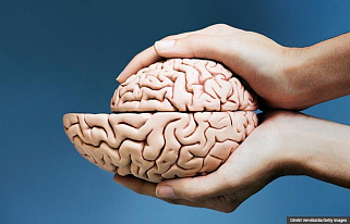 Protecting the brain from dementia-inducing abnormal protein aggregates